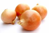 Is It Safe To Eat Onion During Pregnancy?